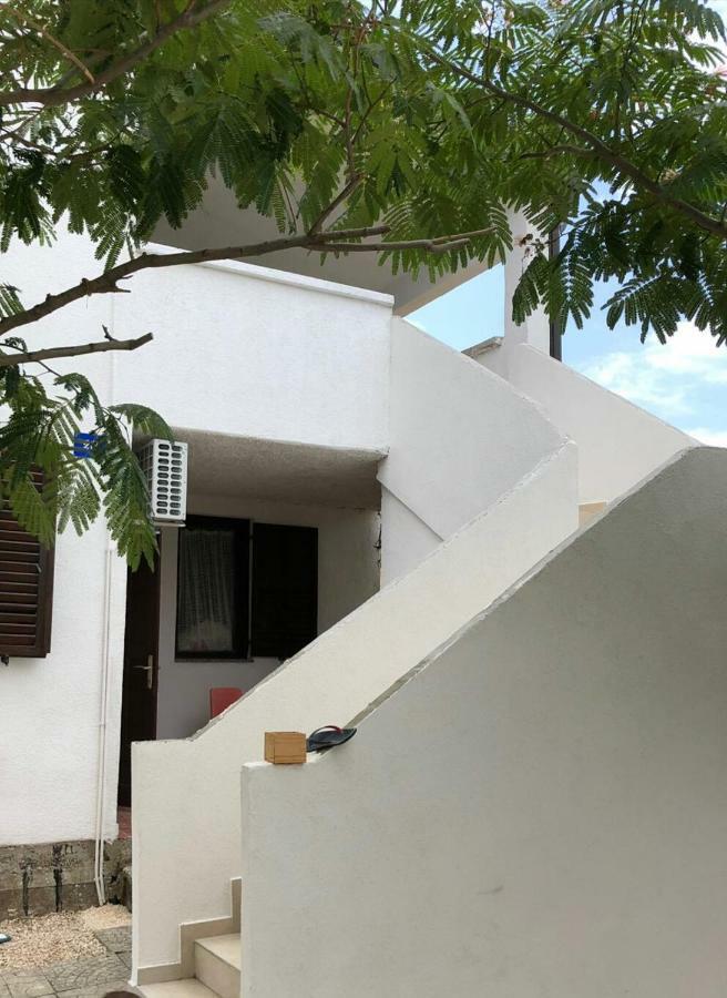 Apartman Zidak Vir Exteriör bild