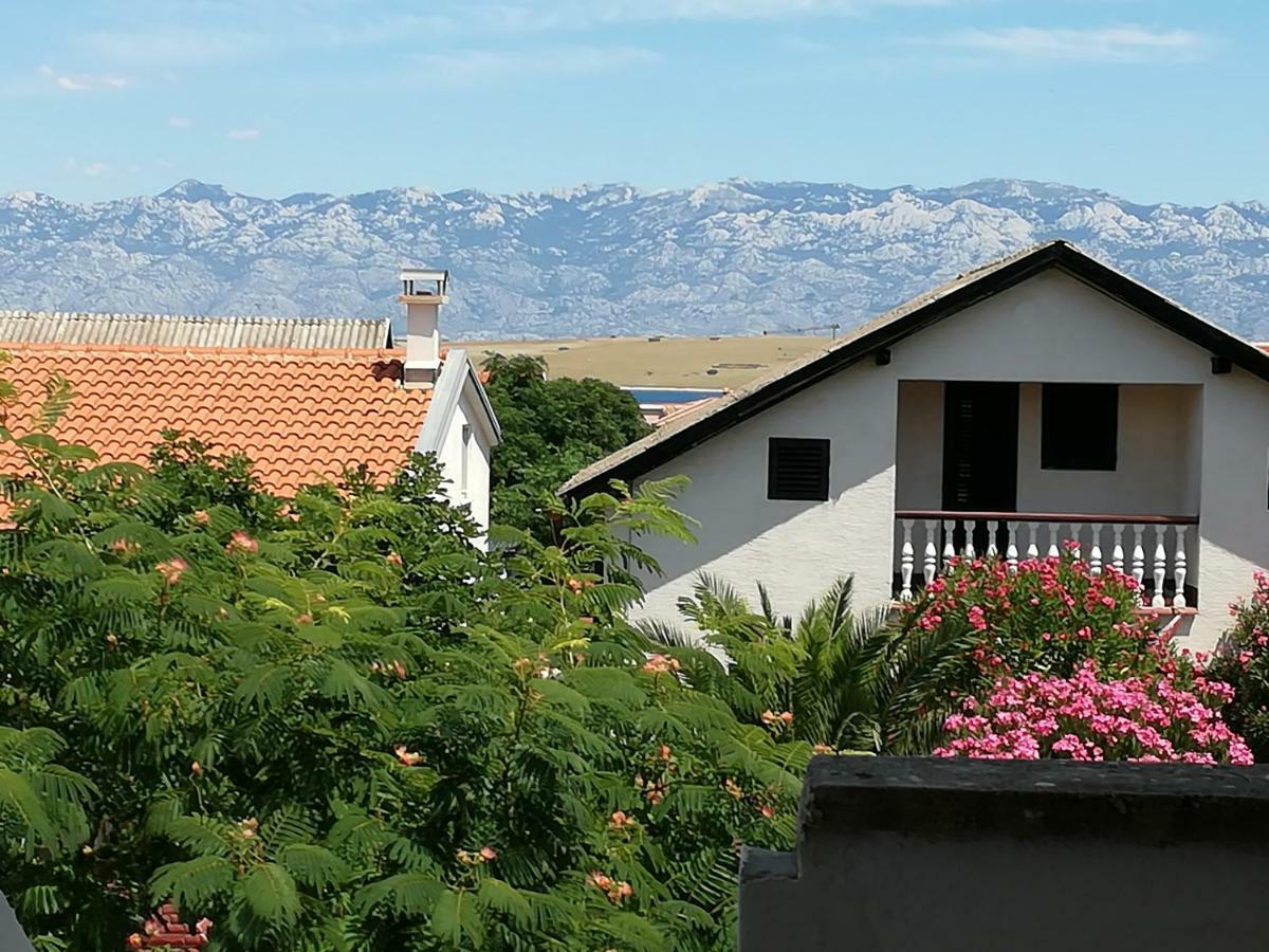 Apartman Zidak Vir Exteriör bild